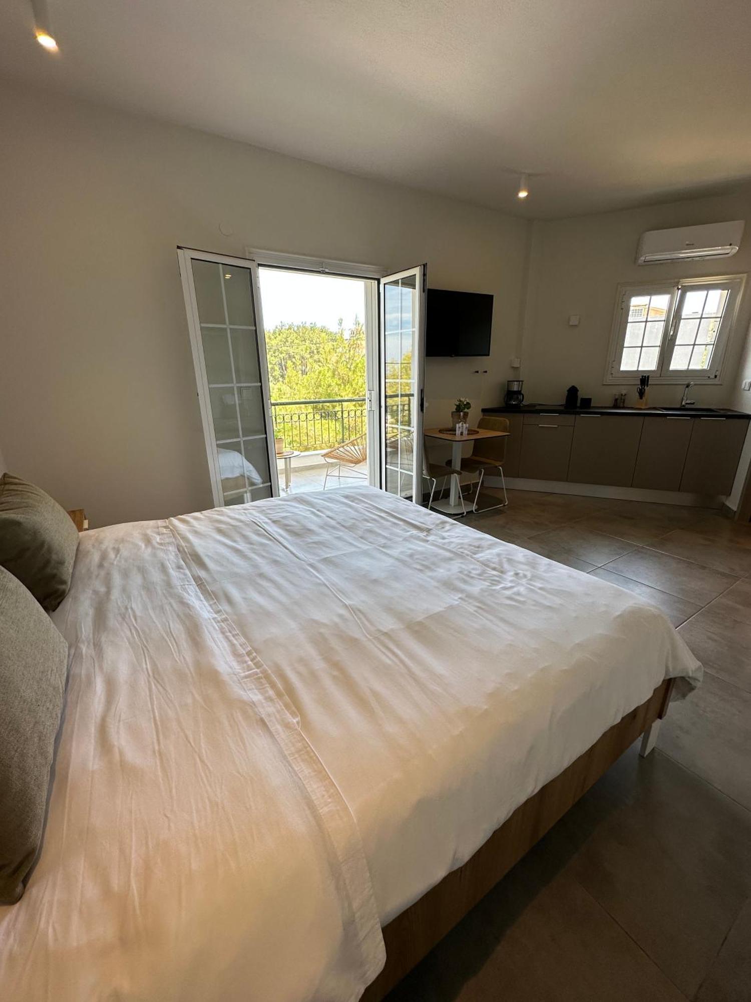 Villa Eleni Greece - Wonderful Sea View Studios Неа-Рода Экстерьер фото
